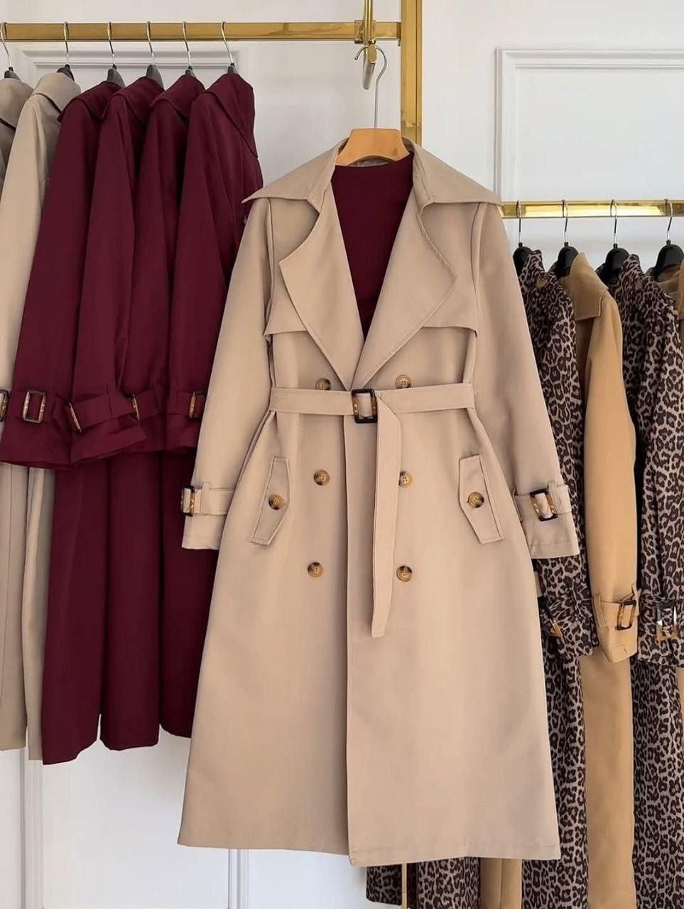 بارونی بلندپرنسا